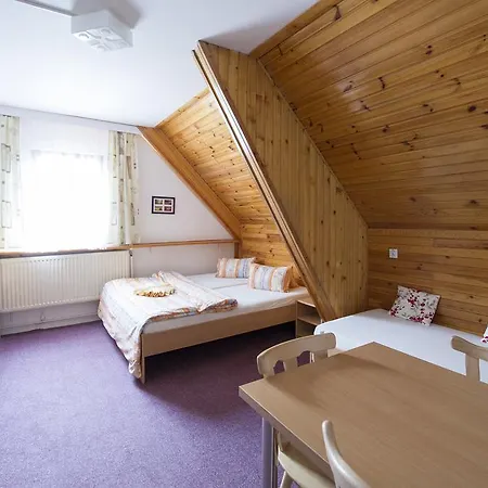 Rodinny Skiland Guest house 3*